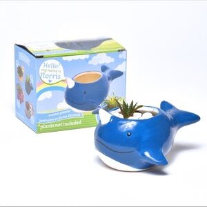 Norris the Norwale Animal Planter